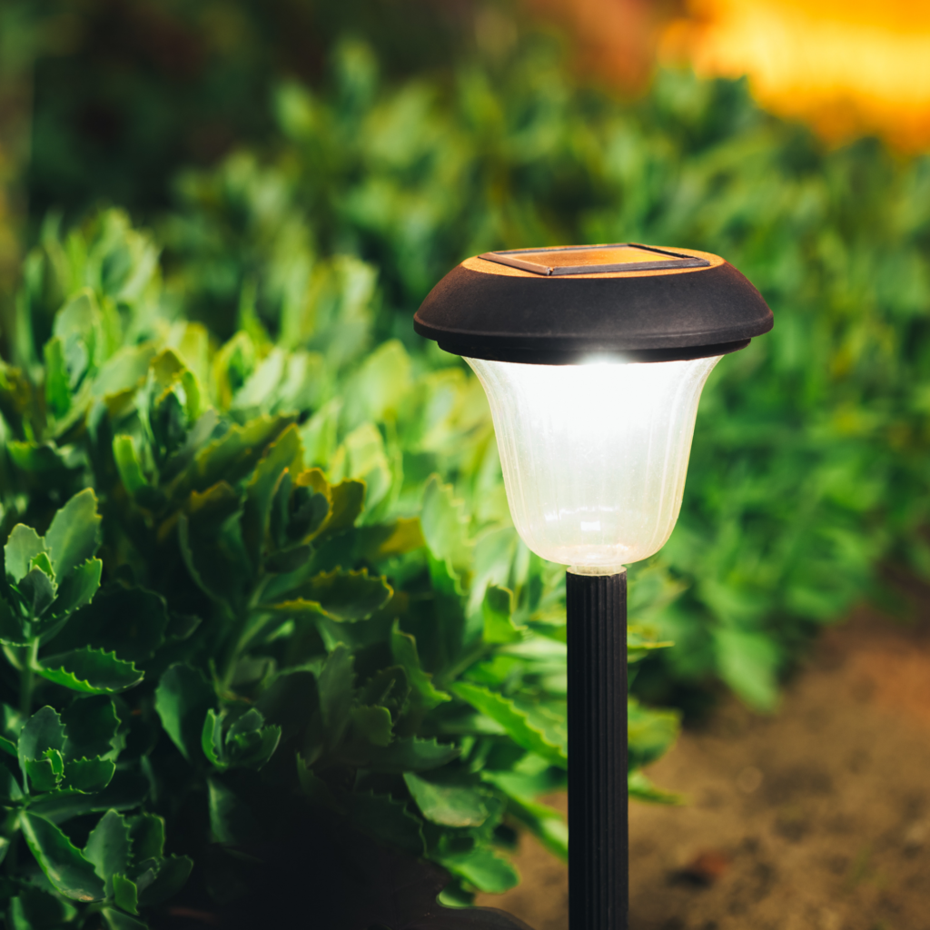 landscape lights