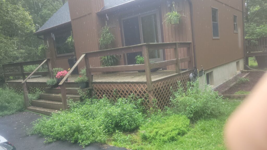 Deck: before